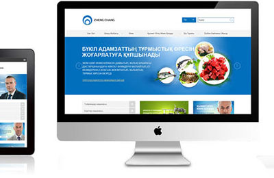 網(wǎng)站專業(yè)設(shè)計(jì)要求和技術(shù)之經(jīng)驗(yàn)談